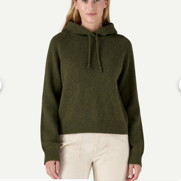 Patagonia Recycled Wool Blend Hooded Pullover Sweater NWT - Picture 7 of 8